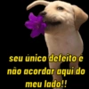 BOM DIA AMOR 💘 6