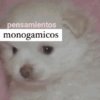 Frases amor/engraçadas 14