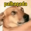 Memes variados  16