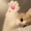 FOFOS❤️ 8