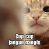 Pwettykoal Cup cup jangan nangis