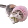 Olhas os gatinhos fofinhos 5