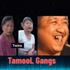 Twins Tamool Gangs