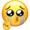 Memoji 27
