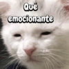 Qué emocionante