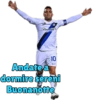 Inter 20