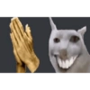 Kucing aneh 7