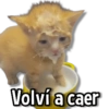 Volví a caer