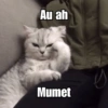 atty Au ah W Mumet