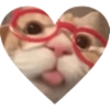 Love Kitten 🐾🐱 8