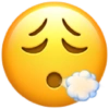Emojis de IPhone  9