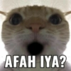 AFAH IYA?
