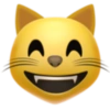 Emoji iphone 24
