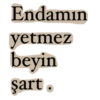 Taşacak bu deniz boş Türkçe 18