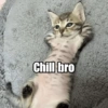ettykesla Chill bro