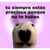 😎 STICKERS SHITPOST 14 🤙 5