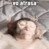 🐒 Macaco pra Reagir 7