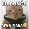 Kucing Bakekok 7