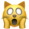 Emoji iphone 29