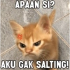 APAAN SI? AKU GAK SALTING!