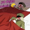 México y Japón  25
