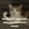 me iba a ir bien este año pero pasaron cosas