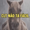 CLT/carteira de trabalho memes 6