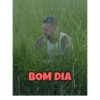 Minhas figurinhas 8