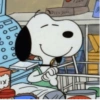 Snoopy  30