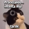 Procesando... intenta más tarde.