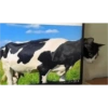 Anlamadım kar tanesi 6