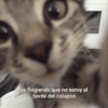 yo fingiendo que no estoy al borde del colapso