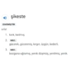 Sözlük 17