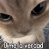 @Harley_Stickers Dime la verdad