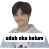 udah oke belum