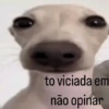 Memes Aleatórios🤣 8