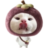 Miaw miaw 1 9