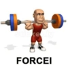 Stickerly FORCEI