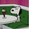 Snoopy  12