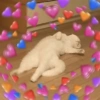 Gatos românticos ❤️🐈 13