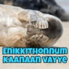 Malayalam sticker  6