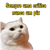 PARA WHATSAPP  13