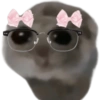 Mariamurax 16