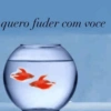 REAÇÕES DO TWITTER 11