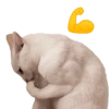 Bichinhos do ZAP 13
