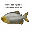 Memes engraçados 😂 12