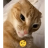 ??? 23