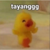 tayanggg