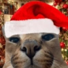 💚❤️Animalitos con gorrito❤️💚 9
