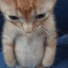 🌈🐈‍⬛✨️Gatos Funny Mood✨️🐈‍⬛🌈 23